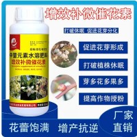 授粉坐果精果樹控梢促花素座果靈君子蘭開花素催花劑長壽花葉面肥